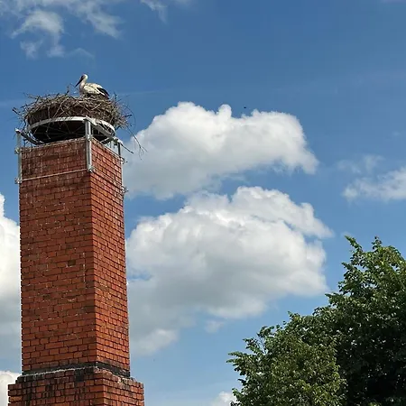 Ritterliving Ferienapartment Am Markt Apartment